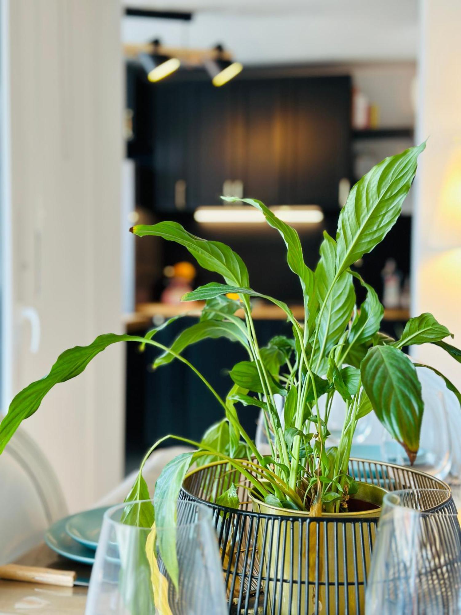 Le Vintage Apartman Tours Kültér fotó